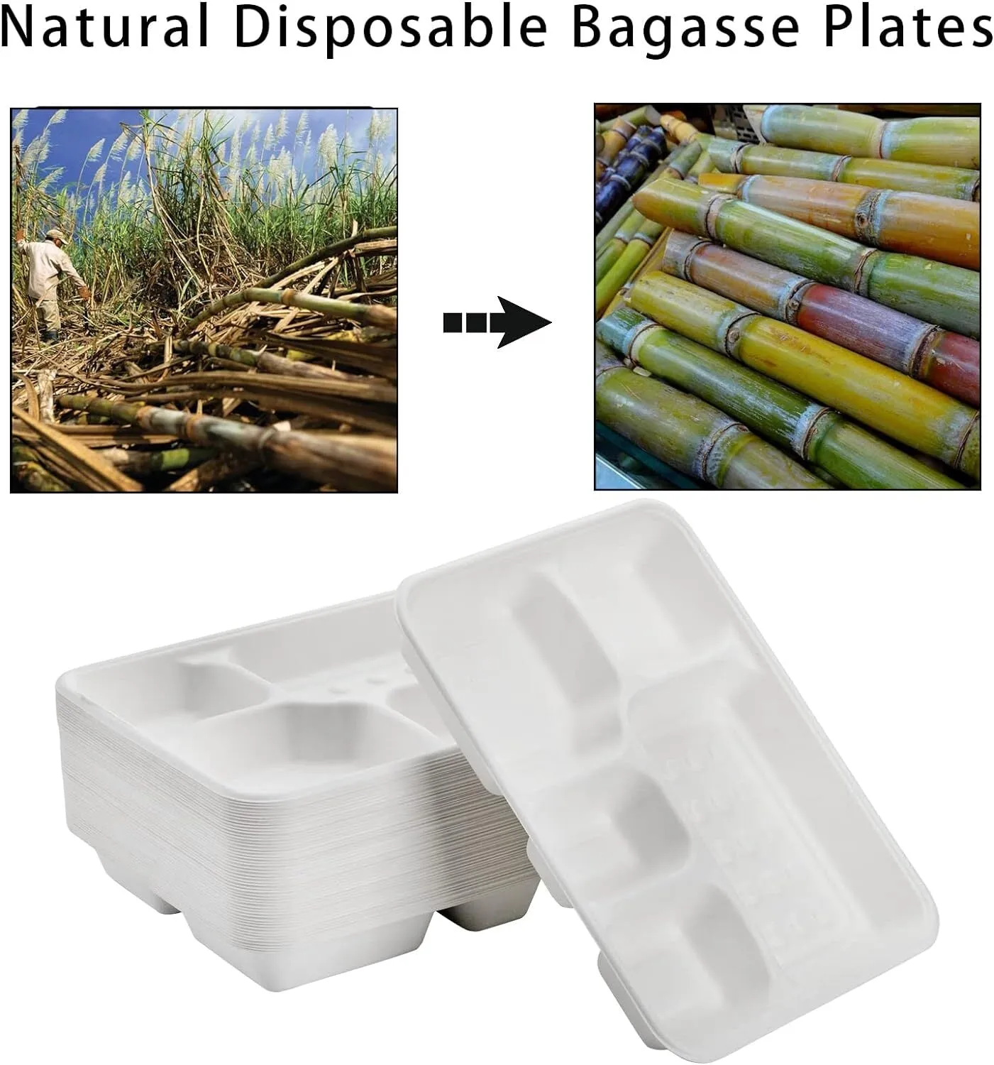 240pcs Sugarcane Bagasse DEEP 5 Compartment Lunch Paper Tray Plates 28x22cm Bulk