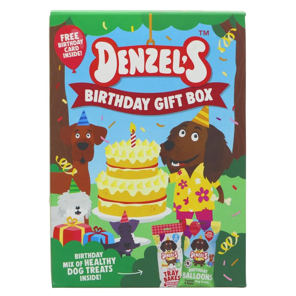 Denzel's Birthday Gift Box for Dogs 110g